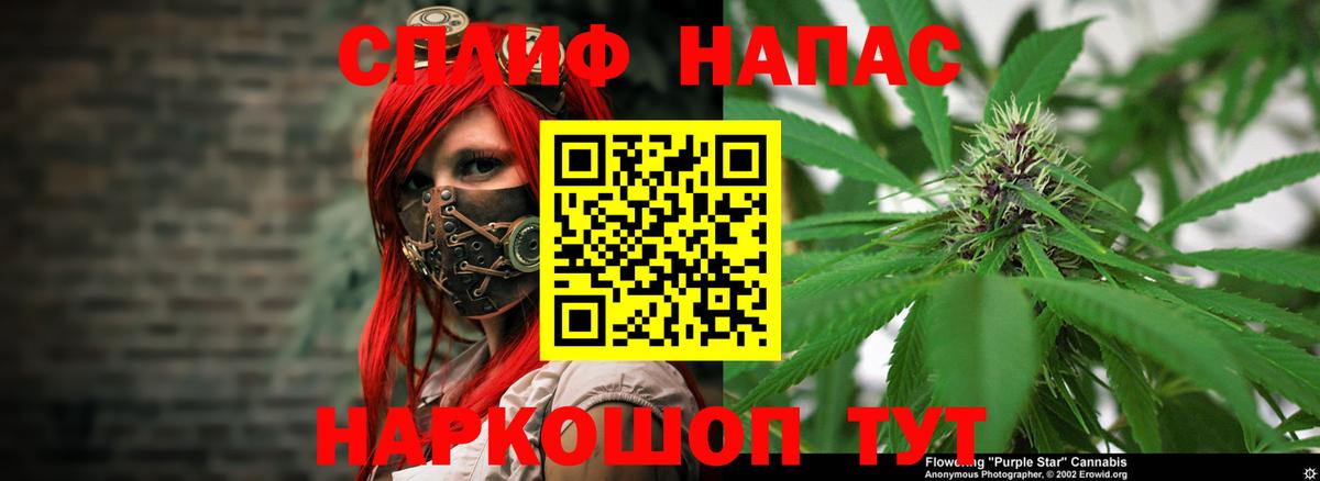 Фролово  Канабис тримм  Вход с VPN  Канабис Bruce Banner  Канабис OG Kush 